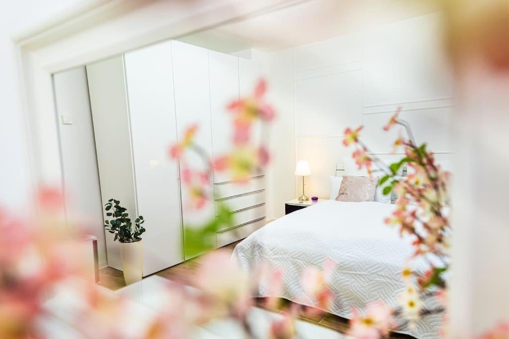Charmante Wohnung In Koblenzer Innenstadt Кобленц Екстериор снимка